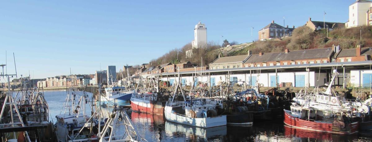 Fishing boats moored close together in North Shields Fish Quay harbour on a bright winter morning, with the fish market sheds, brick terraces and a white lighthouse tower on the bank above